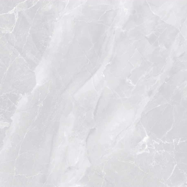ECJ85503